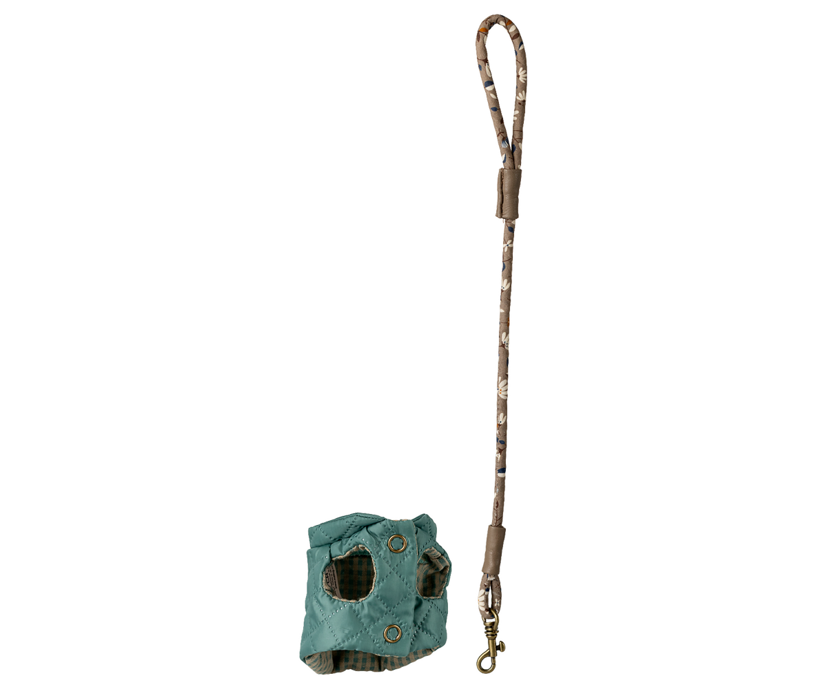 Arnés y correa para mascota - menta oscura